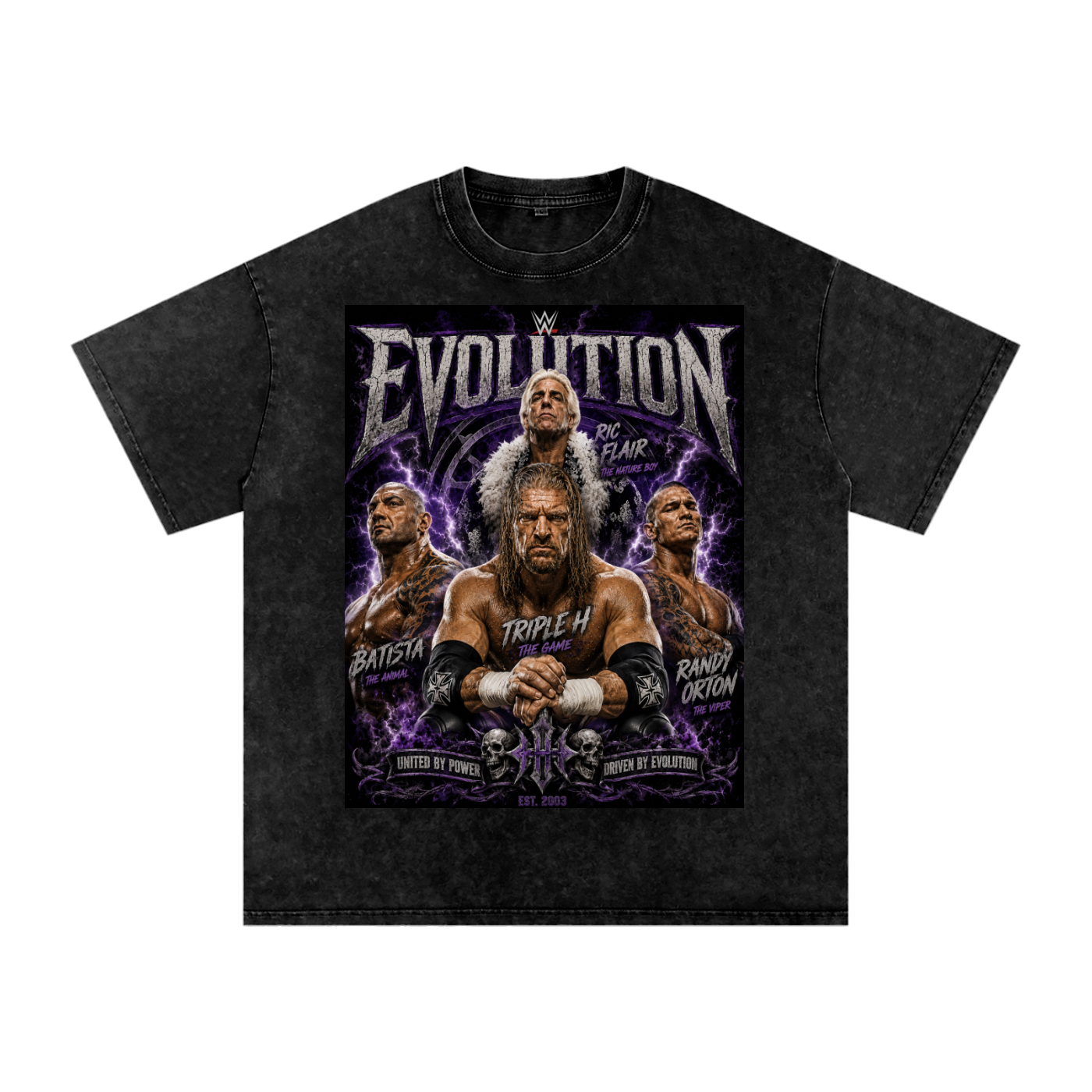 Evolution  vintage tshirt