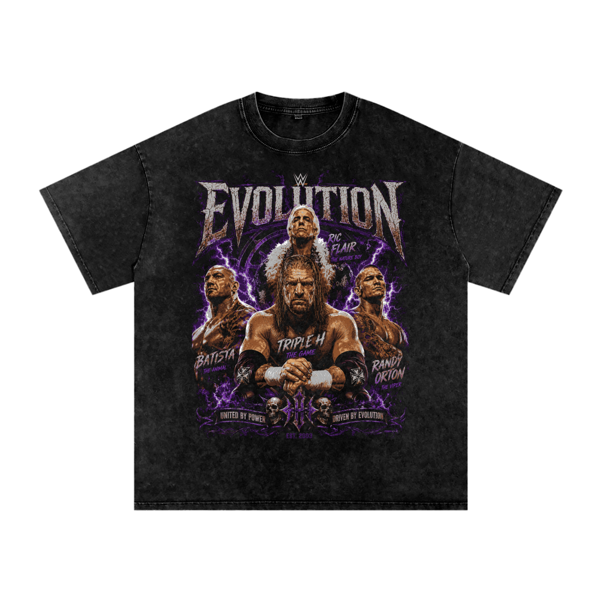 Evolution  vintage tshirt